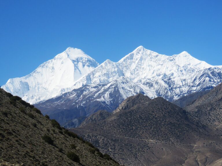 dhaula