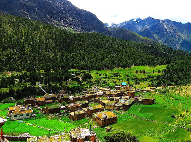 ringmo-village-2